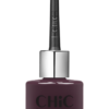 Chic Professional Nail Polish 39