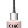 Chic Professional Nail Polish 94