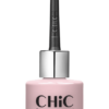 Chic Professional Nail Polish 251