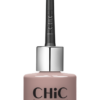 Chic Professional Nail Polish 91
