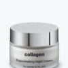 Collagen++ Nourishing and Rejuvenating Night Cream for normal to dry skin