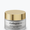 קרם לילה להזנה ולשיקום העור Collagen